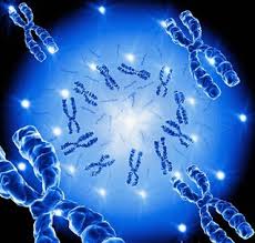 Chromosomes bleus en X flottant autour d'un noyau lumineux