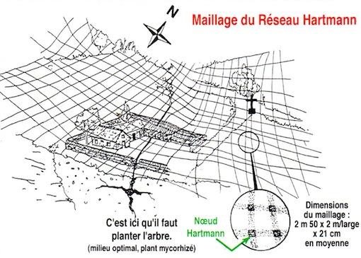 Schéma du maillage du réseau Hartmann au-dessus d'un terrain, avec un nœud Hartmann et les dimensions du maillage